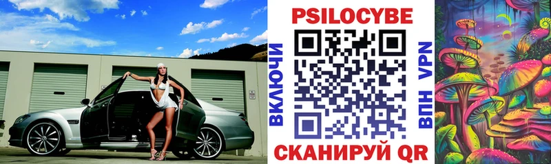omg ТОР  Новосокольники  Галлюциногенные грибы ЛСД 